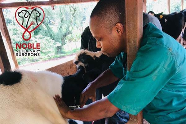 farm animal services farm animal services