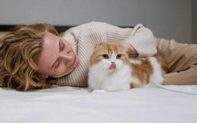 5 Best Pet Boarding Options in Nairobi While You’re Away