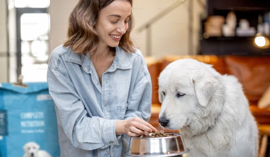 How to Store Pet Food and Common Storage Mistakes to Avoid