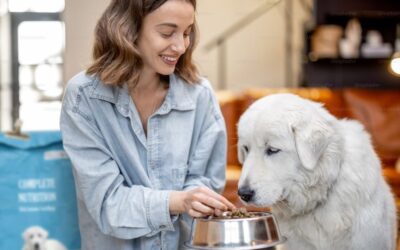 How to Store Pet Food and Common Storage Mistakes to Avoid